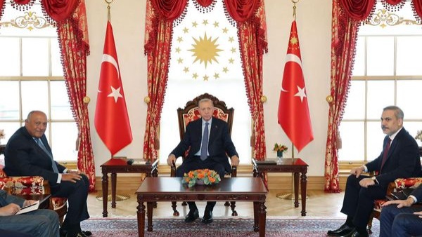 أردوغان يستقبل وزير الخارجية سامح شكري خلال زيارته لإسطنبول