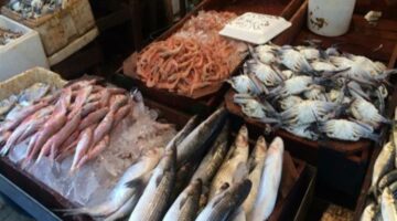 أسعار السمك اليوم الخميس 2 مايو بسوق العبور