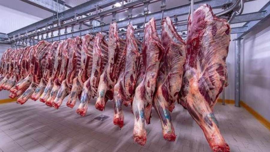 نقيب الجزارين يزف بشرى سارة للمواطنين: انخفاض سعر كيلو اللحم لـ 350 جنيها خلال شهر