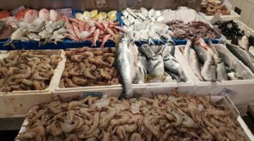 أسعار السمك اليوم الثلاثاء 6 مايو بسوق العبور
